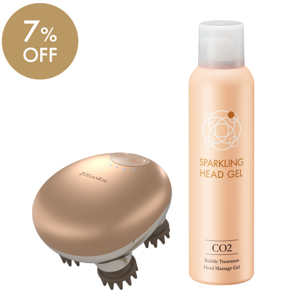 �������󥭥󥹥���ס����ѡ�����󥰥إåɥ����륻�å�