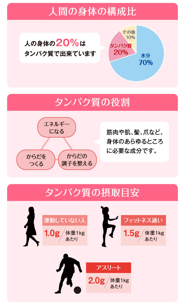 軽 サキボーテbmプロテイン ココア味
