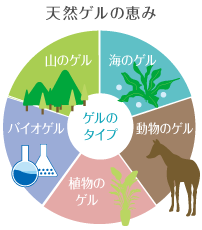 天然ゲルの恵み