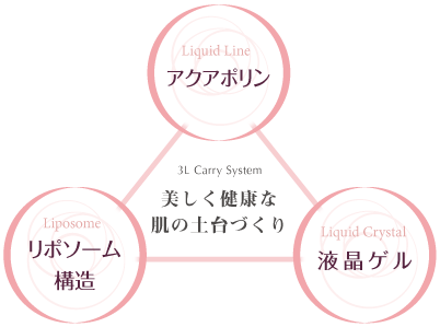 アクアポリン、リポソーム構造、液晶ゲルの3Lキャリーシステム